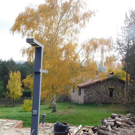 Cimera Ybrincalobitos * Hoyos del Espino