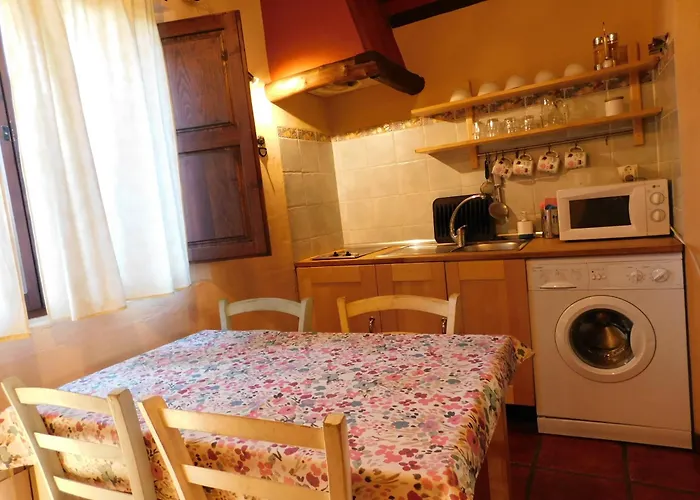 Asas Rurales Cimera Y Brincalobitos * 요요스델에스피뇨