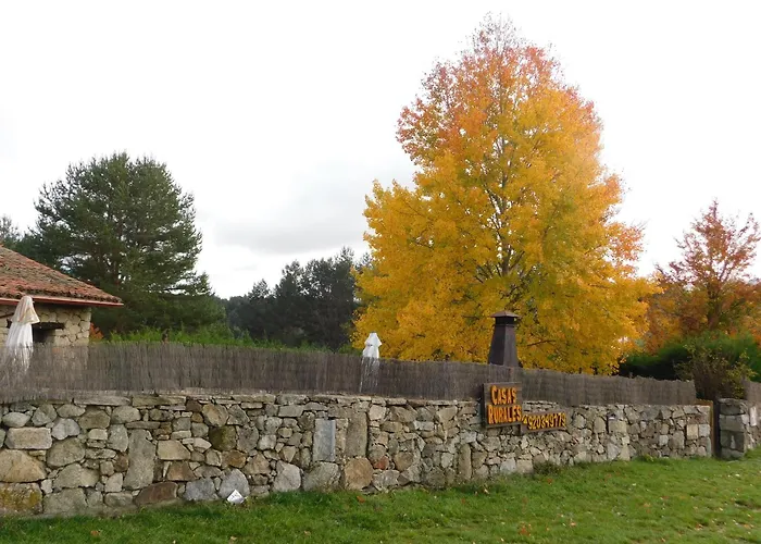 Asas Rurales Cimera Y Brincalobitos